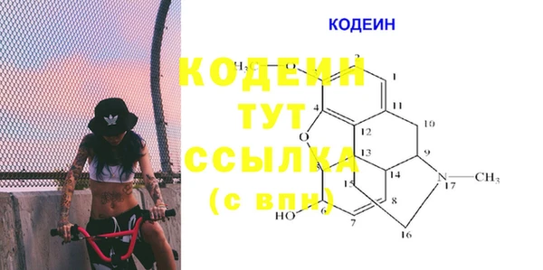 PSILOCYBIN Алзамай