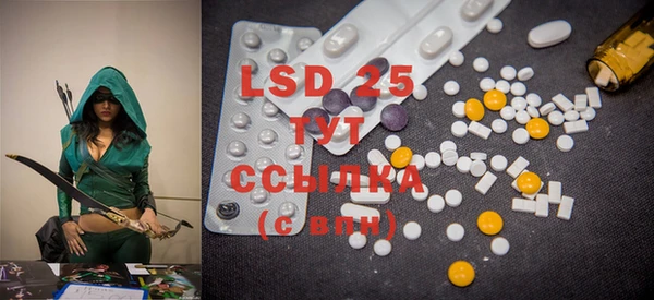 PSILOCYBIN Алзамай