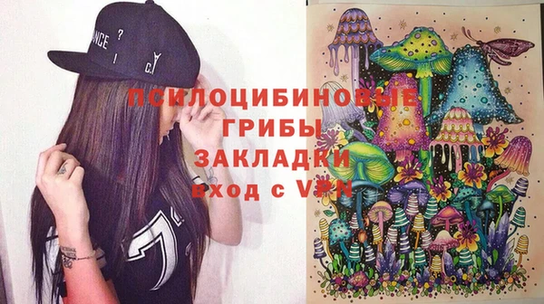 гидра Алексин