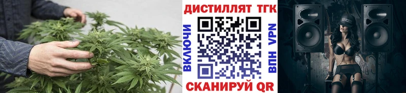 MEGA маркетплейс  наркота  Поронайск  Дистиллят ТГК гашишное масло 