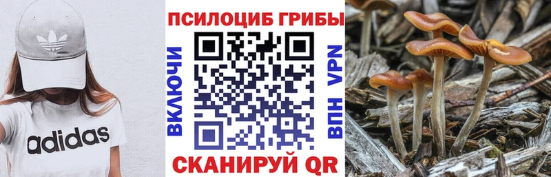 Псилоцибиновые грибы Psilocybine cubensis  наркотики  Поронайск 
